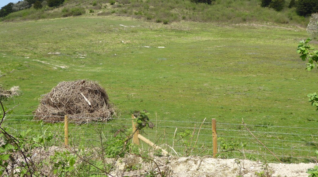 Boxley Warren is a Local Nature Reserve north of Maidstone in Kent.