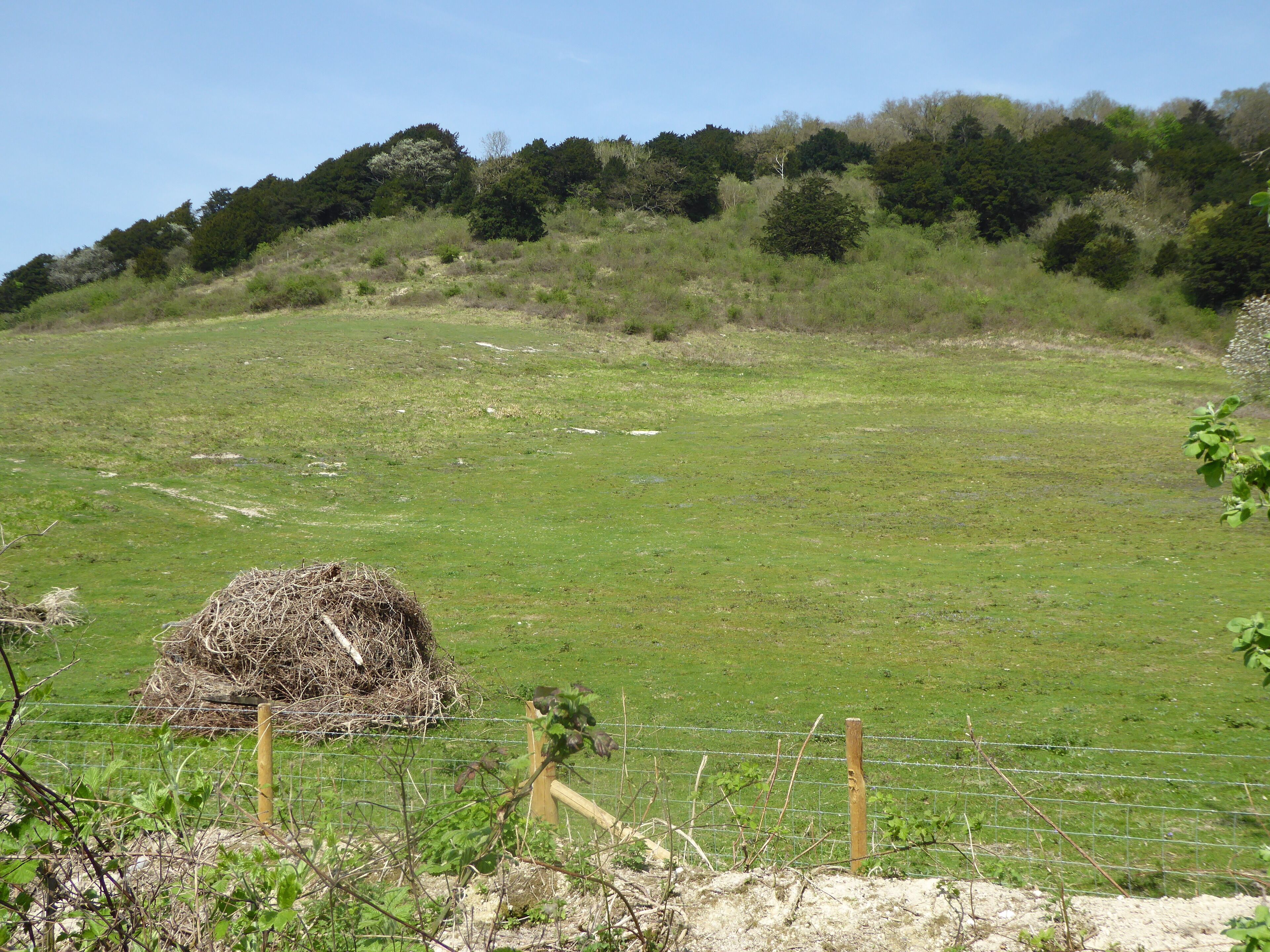 A grassy field with a hay bale, a wooden post, and a wire fence.