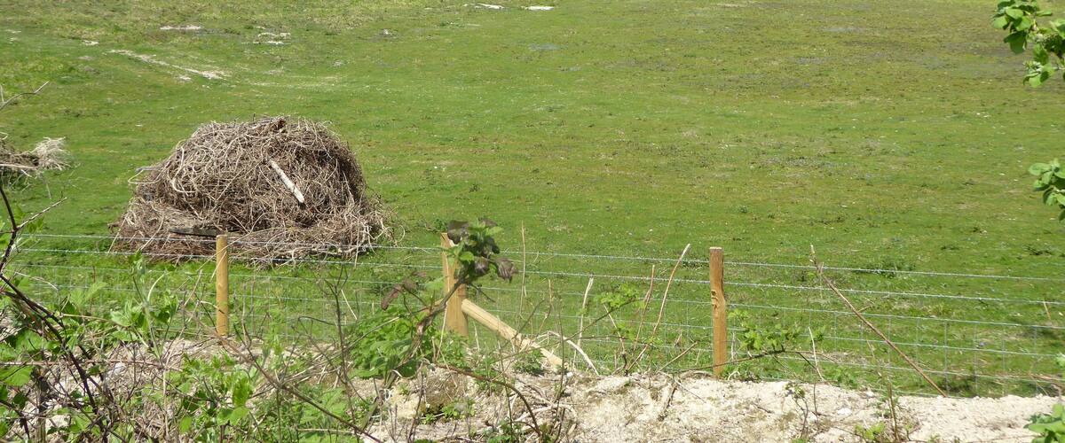 A grassy field with a hay bale, a wooden post, and a wire fence.