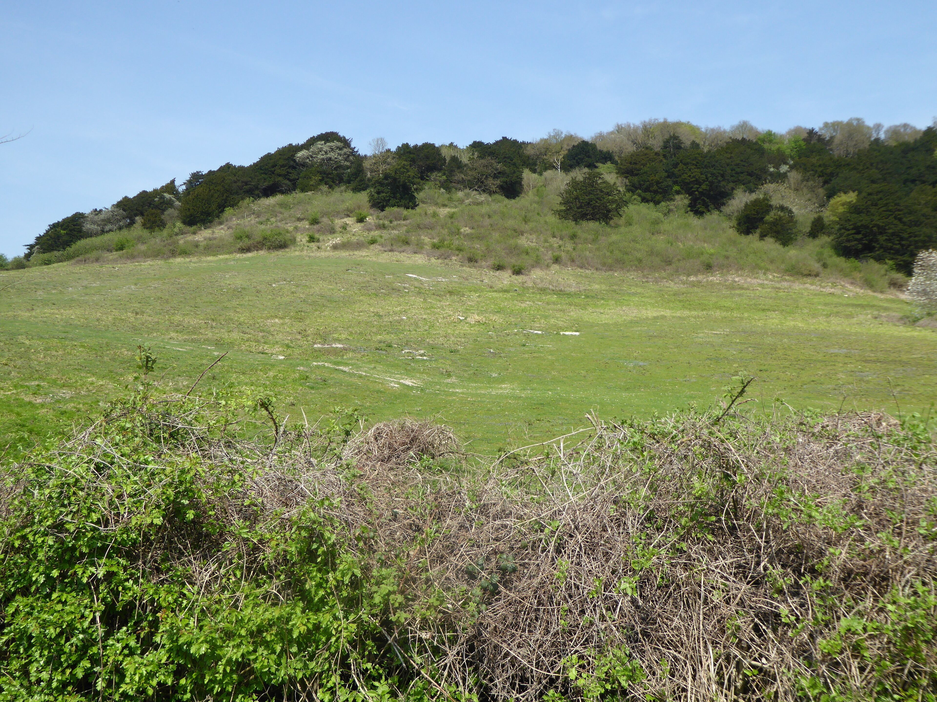 Boxley Warren is a Local Nature Reserve north of Maidstone in Kent.
