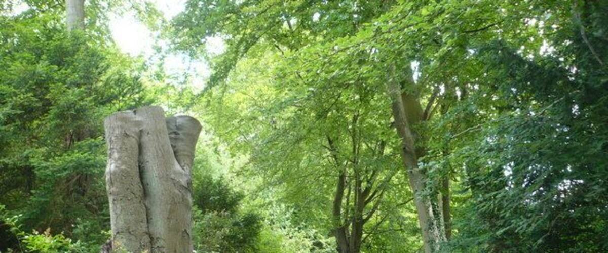 A track through The Larches, Boxley A site of special scientific interest, managed by Kent County Council since 1977.