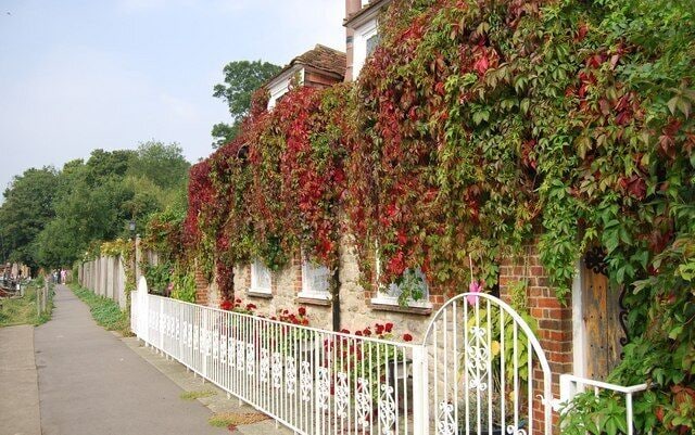 River front cottage near Sandling
