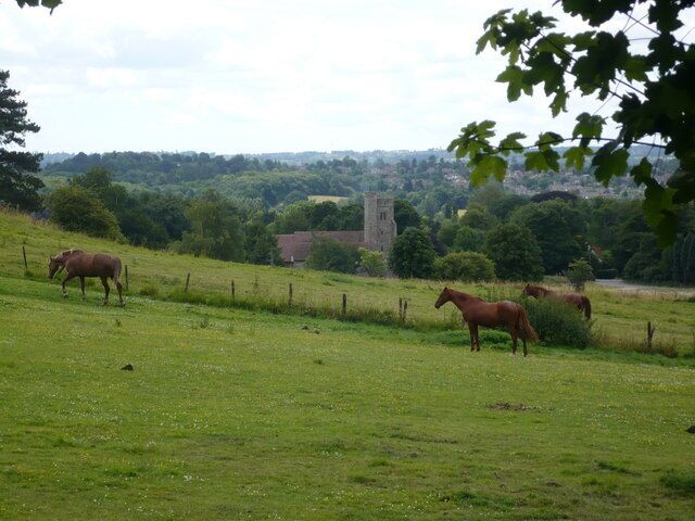 A grassy field with two horses grazing, a distant church tower, and a fence.