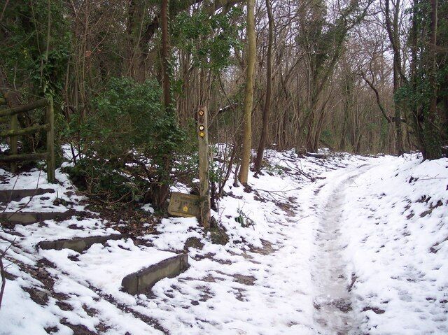 Sendero nevado en un bosque, con un poste de madera y una cerca de madera.