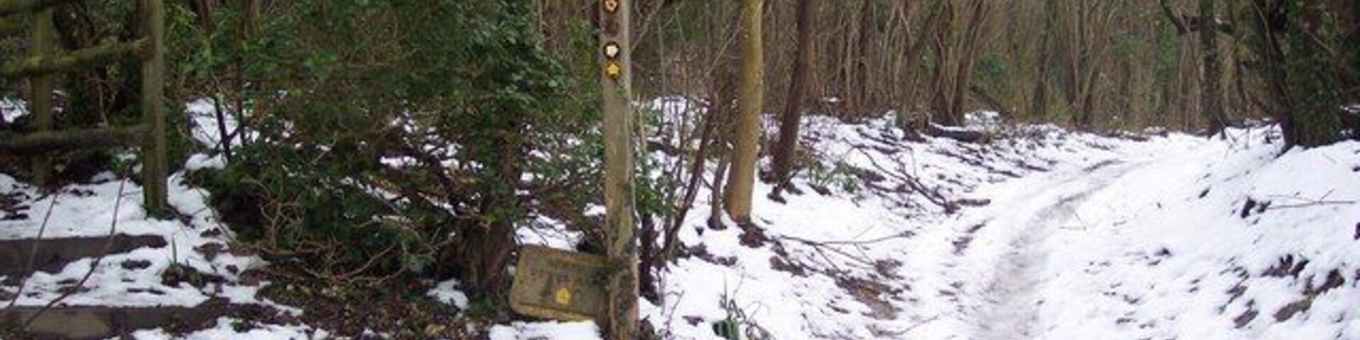 Sendero nevado en un bosque, con un poste de madera y una cerca de madera.