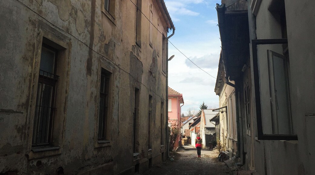 One of the unique courtyards of Targu Secuiesc. Used as streets, they are shared by several families.
#LikeALocal