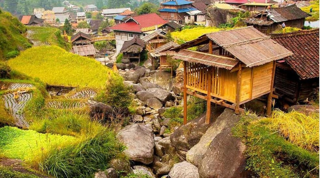 The world's unique "#StonePeople"
—— #QingshanVillage in the Rongshui Miao Autonomous County of China.
#柳州融水苗族青山寨——"石上人家"
https://twitter.com/Beautifulgx