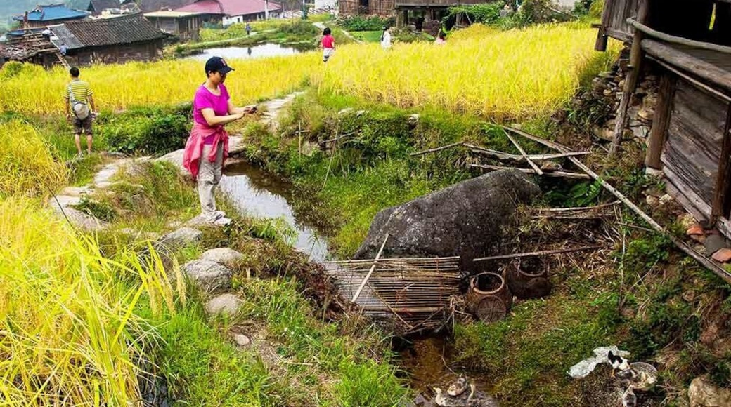 The world's unique "#StonePeople"
—— #QingshanVillage in the Rongshui Miao Autonomous County of China.
#柳州融水苗族青山寨——"石上人家"
https://twitter.com/Beautifulgx