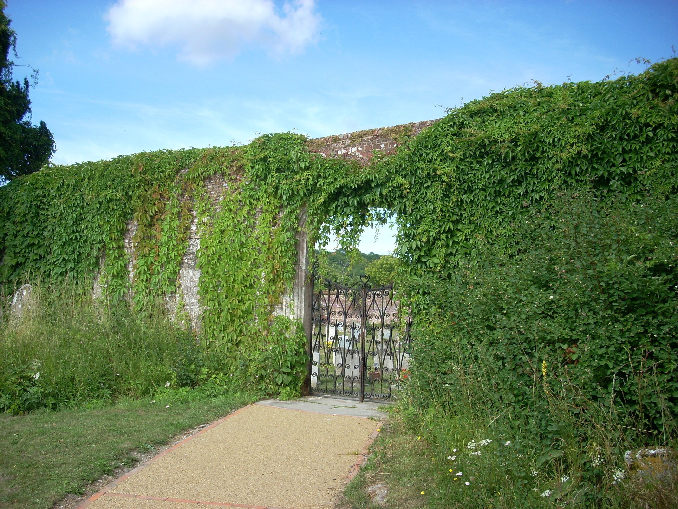 The churchyard of the church of St Mary and St Gabriel, South Harting, West Sussex, England.