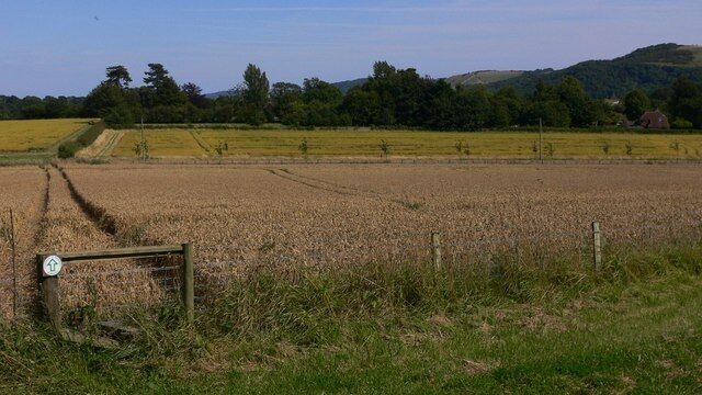 Footpath through field between the West and South Hartings