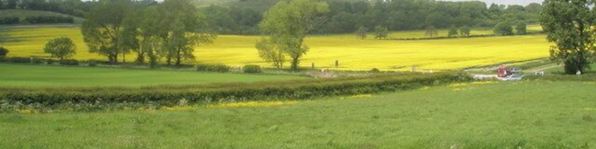 Fields south of Church Farm