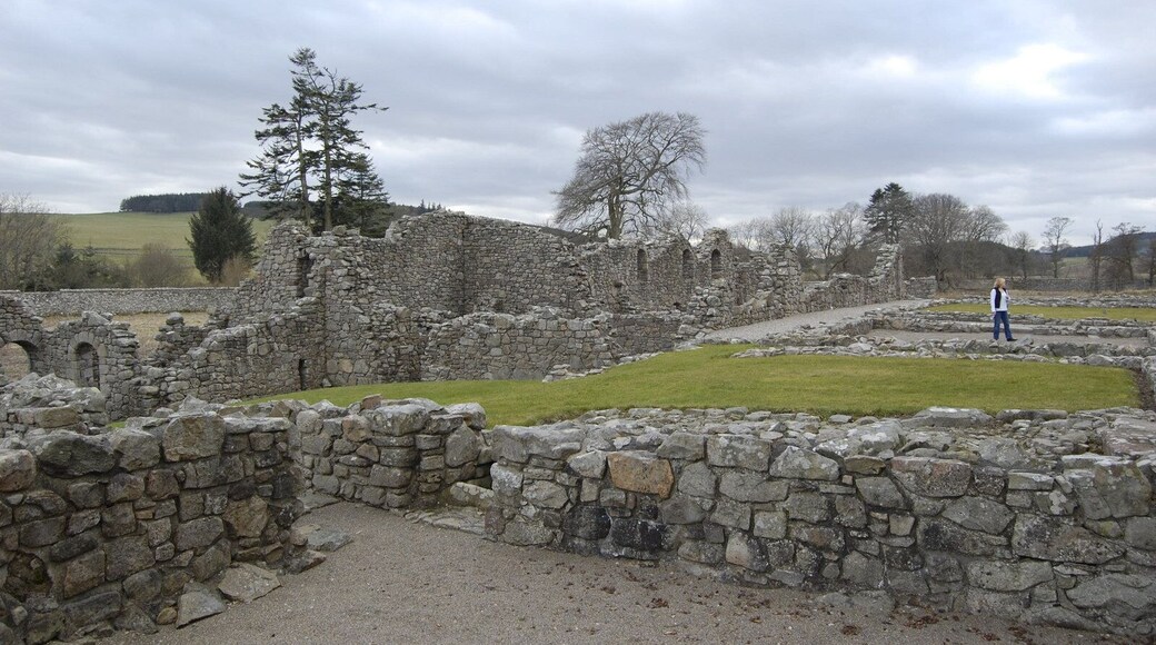 Deer Abbey: vista of the ruins