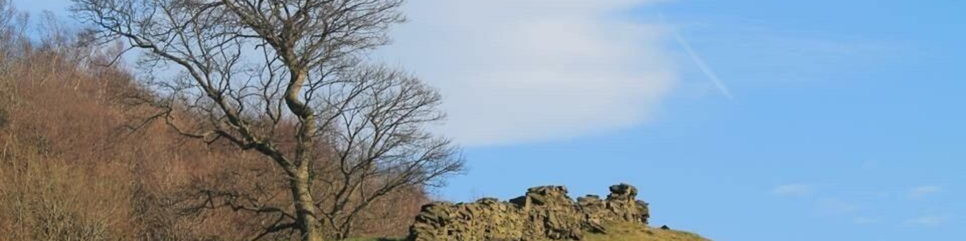 Um muro de pedra numa colina gramada, com uma árvore sem folhas e um céu limpo.