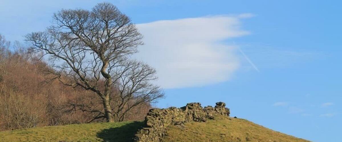 A stone wall on a grassy hill with a leafless tree and a clear sky.