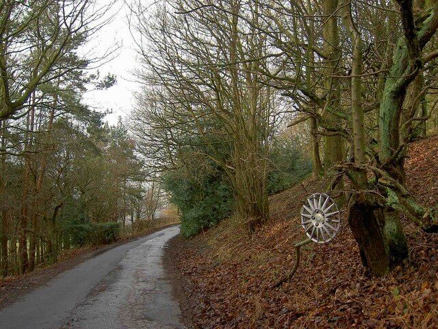 Want a hub cap? Halstead Lane.