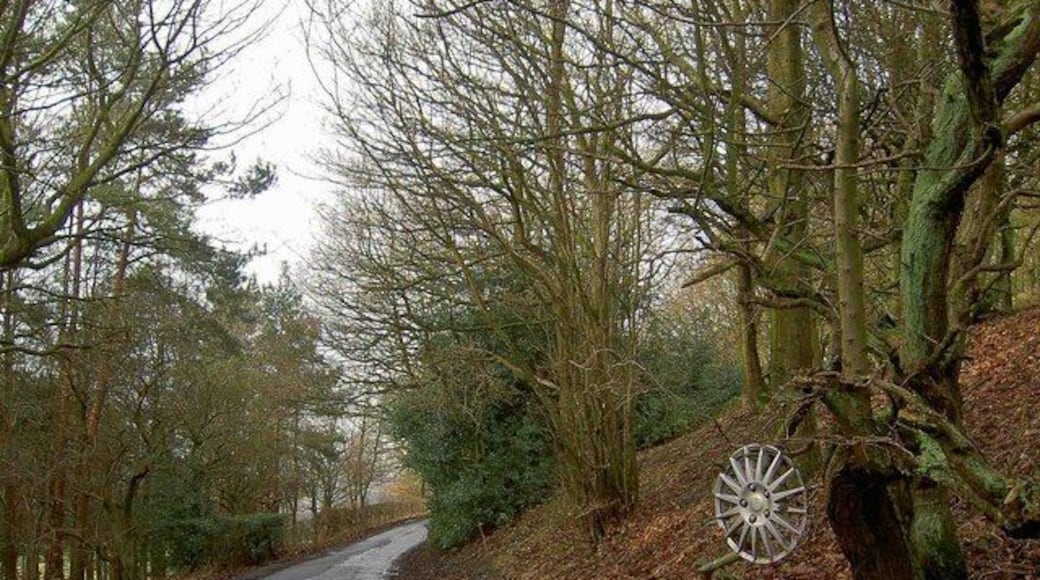 Want a hub cap? Halstead Lane.