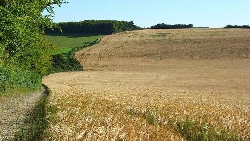 Farmland near Pitton Barley stretching across a dry valley with pastures to the left.