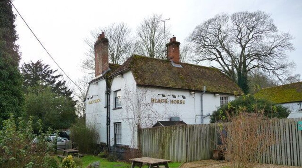 West Tytherley - Black Horse Public House The beer garden of the Black Horse.