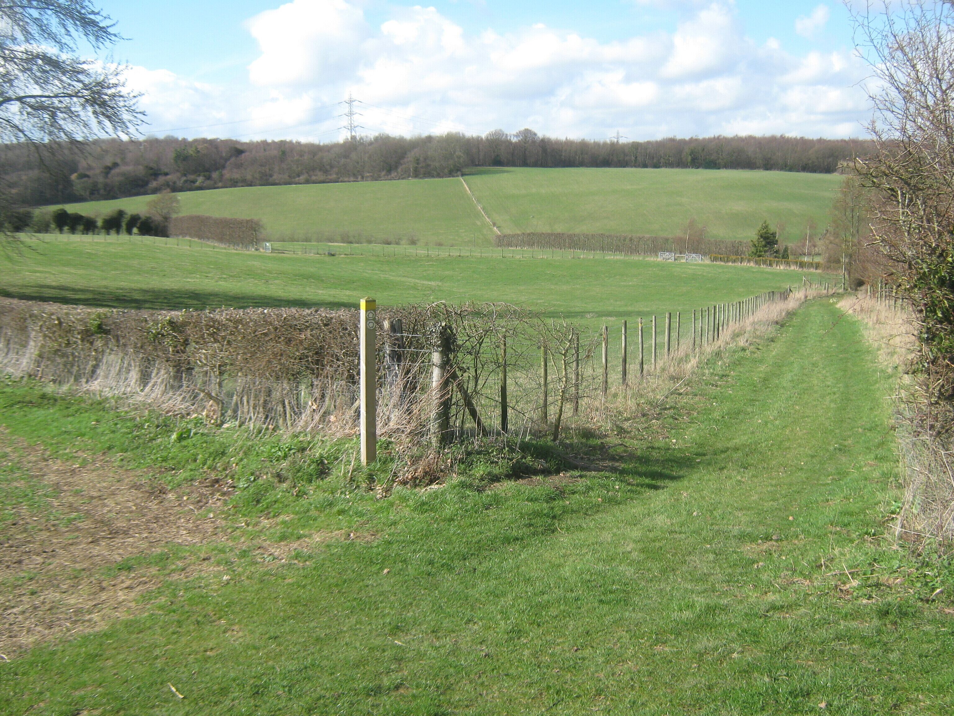 Footpath junction near Little Pett Farm A footpath from Gorsley Wood divides here. A path follows the grass track on the right towards the farm on Pett Bottom Road. Another path heads left to Pett Bottom Road in between Little Pett Farm and Little Eaton Farm. In the background, across the valley is Whitehill Wood.
