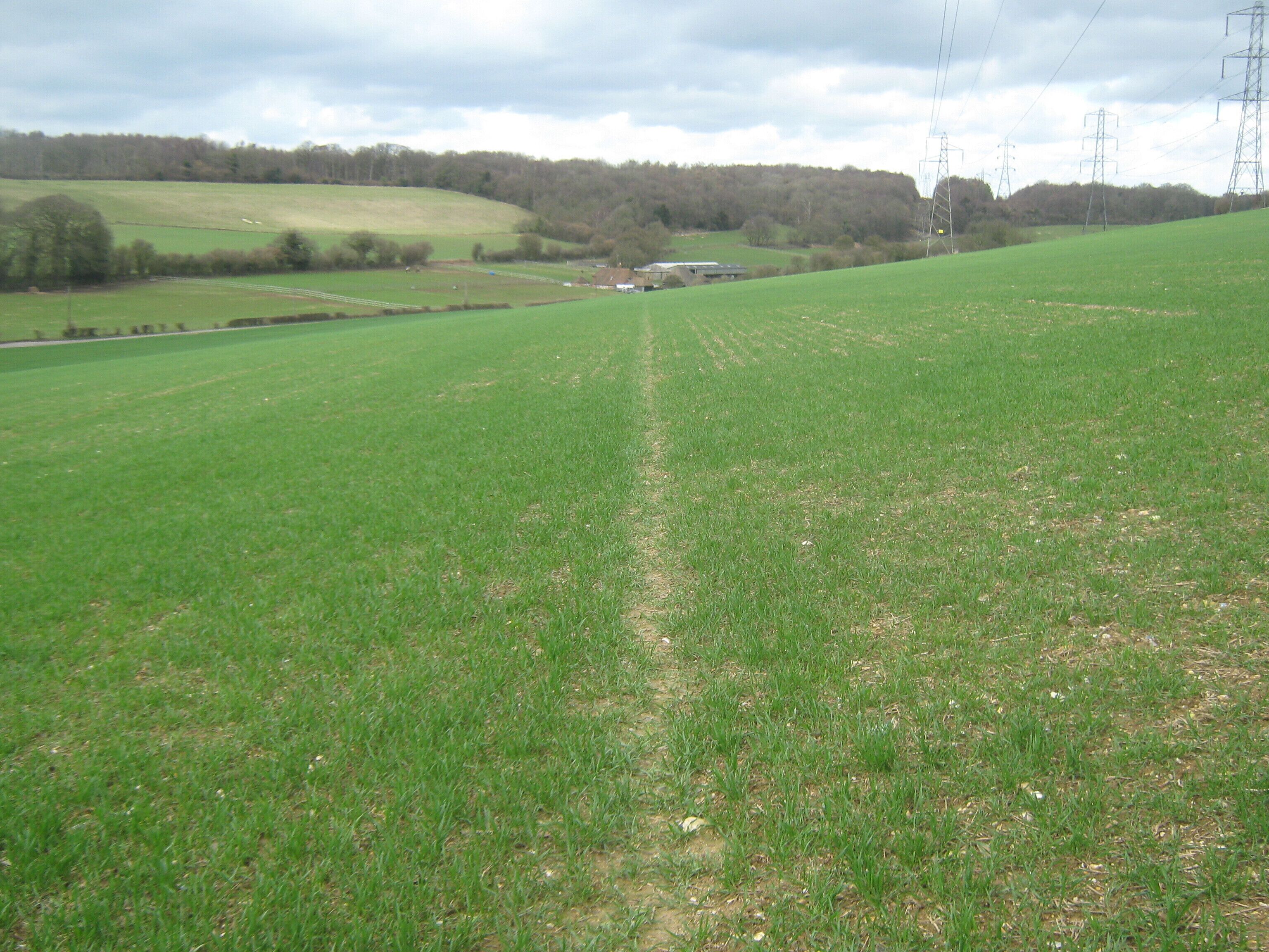 Footpath to Pett Bottom Road This path leads from Woodgate, past and through Gorsley Wood towards Little Eaton Farm.