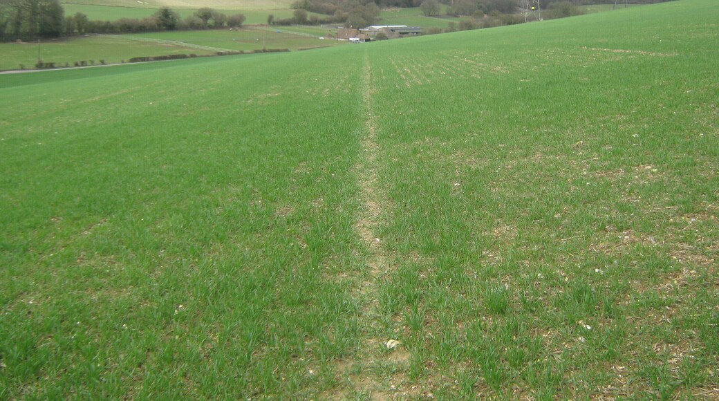 Footpath to Pett Bottom Road This path leads from Woodgate, past and through Gorsley Wood towards Little Eaton Farm.