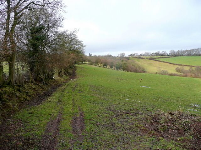 View west from Brown's Lane The 1000ft plateau of Little Mountain takes the horizon in this Marches country scene.