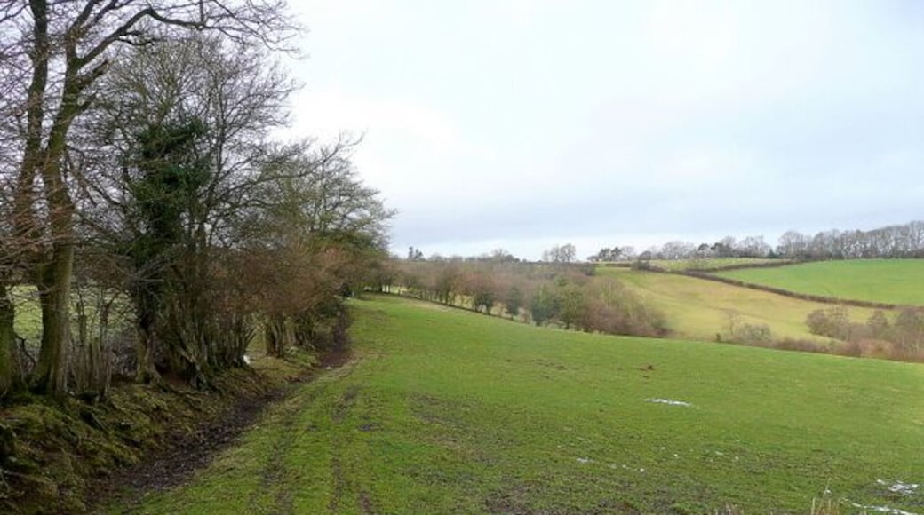 View west from Brown's Lane The 1000ft plateau of Little Mountain takes the horizon in this Marches country scene.