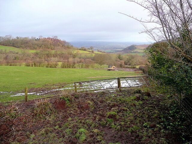 View down the Bach Dingle The Bach Brook drains the east side of Little Mountain past The Bage, through Scotland Dingle and north into the Wye. A dingle is the local term for a small, often wooded, valley in and around the Welsh Marches.