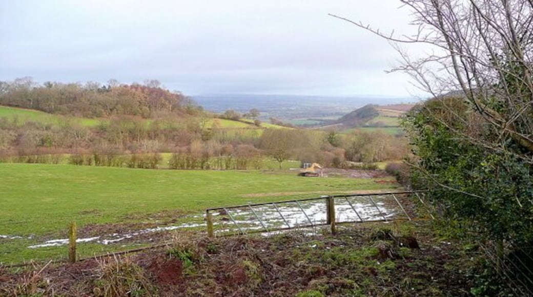 View down the Bach Dingle The Bach Brook drains the east side of Little Mountain past The Bage, through Scotland Dingle and north into the Wye. A dingle is the local term for a small, often wooded, valley in and around the Welsh Marches.