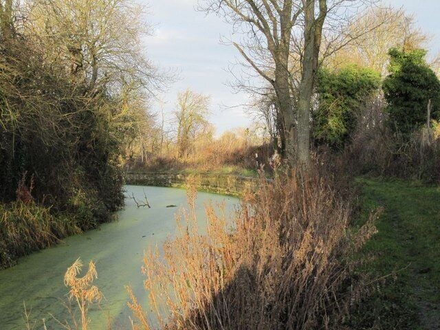 Wharf on the bend A bend in the canal marks where Childrey wharf used to be.