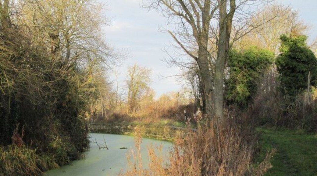 Wharf on the bend A bend in the canal marks where Childrey wharf used to be.