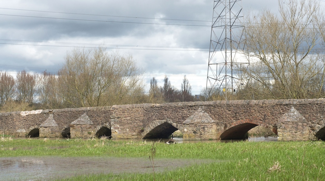 Detail of the medieval Aylestone Packhorse Bridge, a Scheduled Monument in Leicester