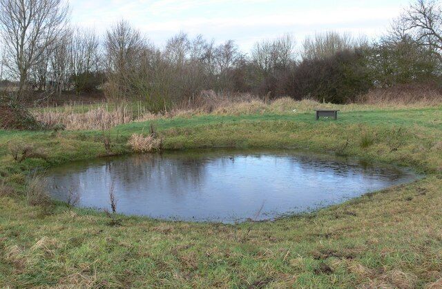 Small pond on Aylestone Meadows Currently a watering hole for the many horses grazing the area, close to Braunstone Lane East.