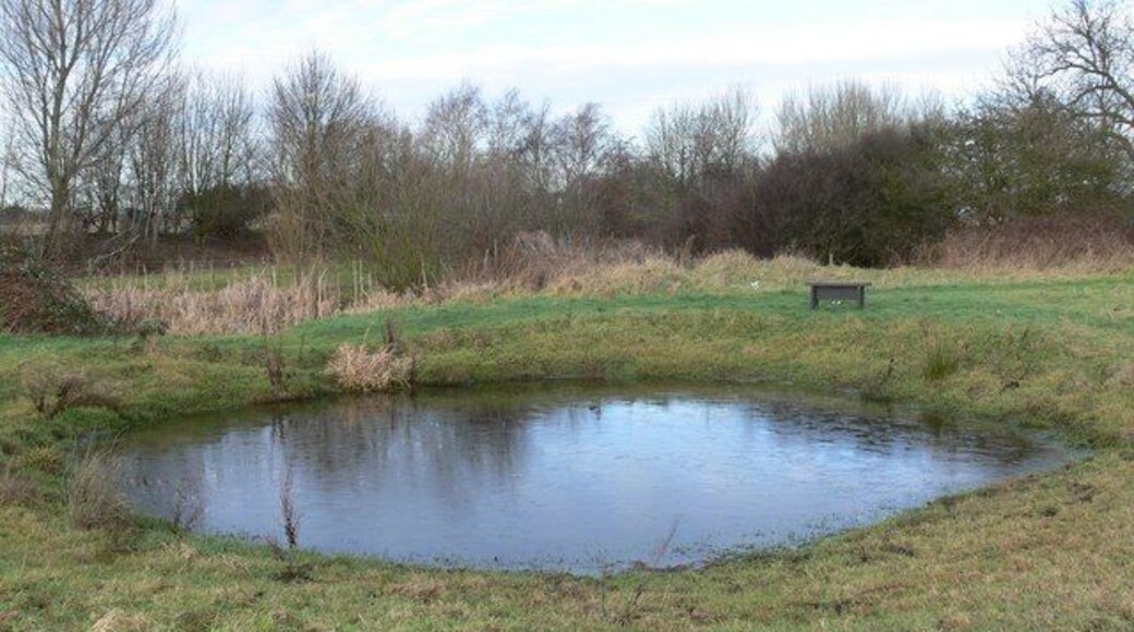 Small pond on Aylestone Meadows Currently a watering hole for the many horses grazing the area, close to Braunstone Lane East.