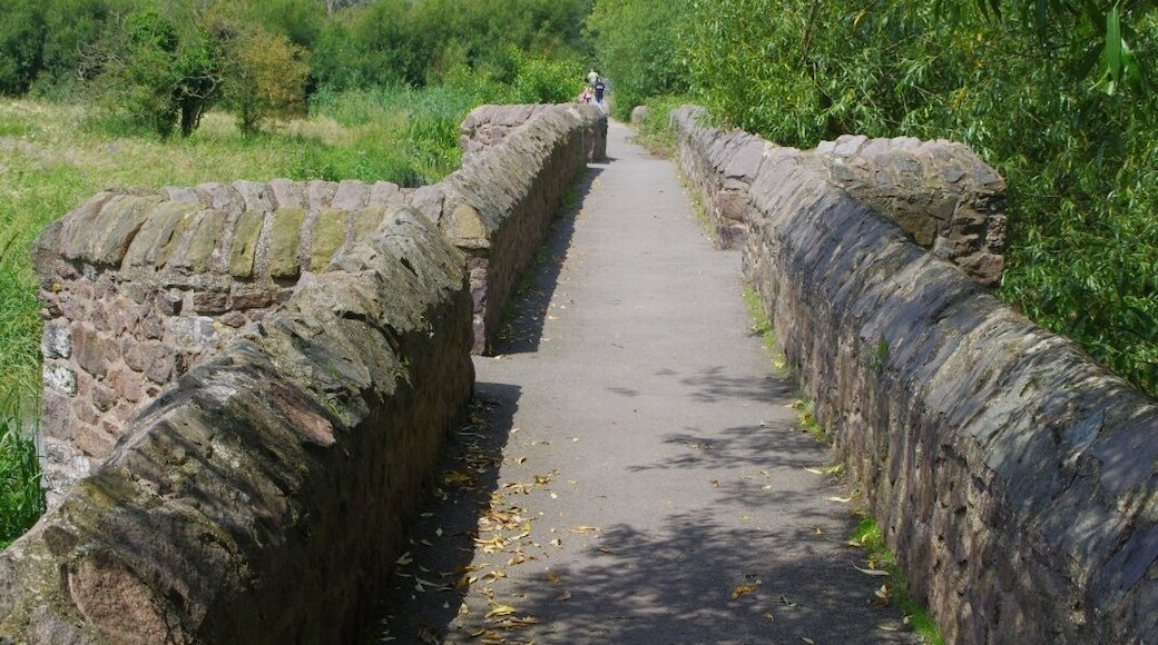 Aylestone Old Bridge