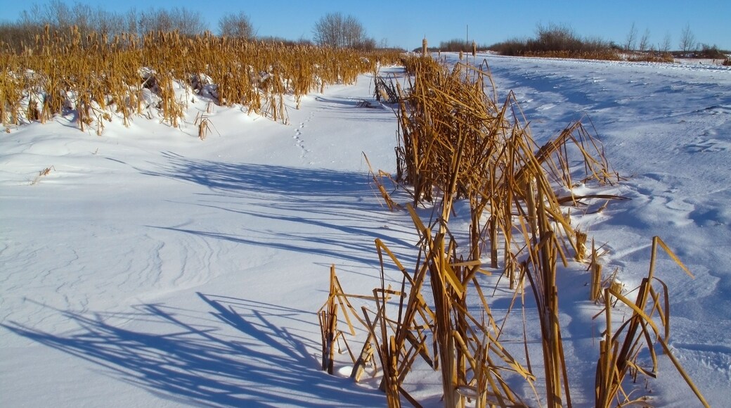 winter prairie landscape