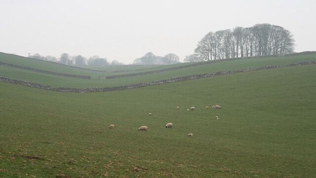 Limestone Country A scene to me representative of the Limestone uplands of the White Peak. Not my favourite landscape - it often seems dull and grey even on the brightest of days. Perhaps it is at its best on a dull and grey day like this April Sunday!