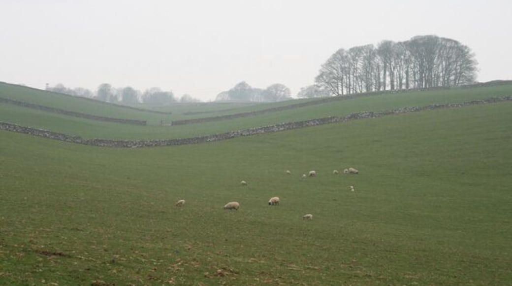 Limestone Country A scene to me representative of the Limestone uplands of the White Peak. Not my favourite landscape - it often seems dull and grey even on the brightest of days. Perhaps it is at its best on a dull and grey day like this April Sunday!