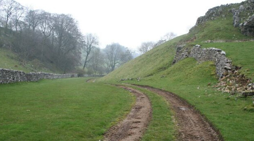Unnamed Dale. With signs of some quarrying (see 772924) Under this dry valley will flow a tributary of Bletch Brook.