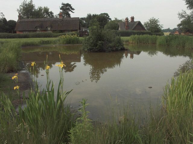The village pond at Osmaston This pond lies between the main street of this pretty estate village and Osmaston Park. The village was built by Francis Wright of Osmaston Hall (now demolished) who owned the Butterley Iron Company, responsible for the fine iron roof of St Pancras station in London.