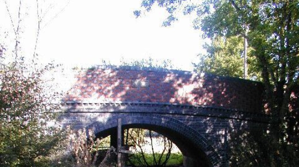 Disused Shropshire Union Canal - Shrewsbury Branch. This bridge is over a tiny piece of canal - much has been filled in and lost. The bridge itself is for the A442 road which has now been bypassed.