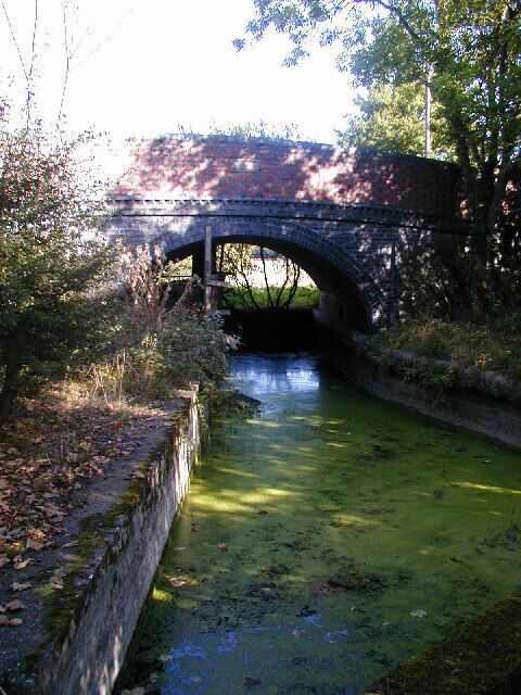 A stone bridge over a narrow waterway with green algae.