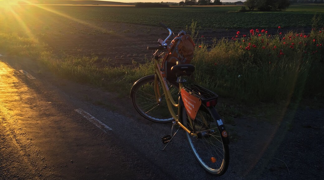 One of my favourite sunsets, all-time. We were somewhere between Kåseberga and Nybrostrand, at 10pm, mid-June.
#GoldenHour