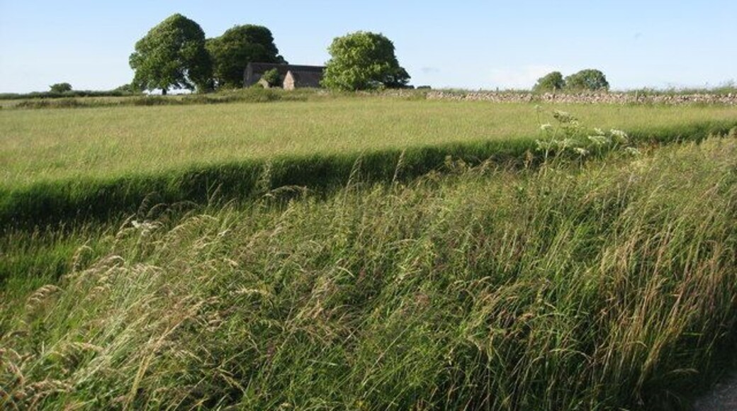 Tophill Lane view of Whitelow Farm