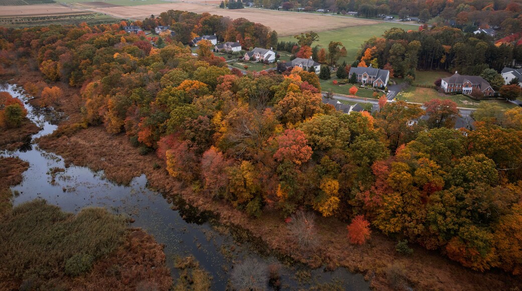 Drone Autumn Foliage in Princeton Cranbury Plainsboro New Jersey