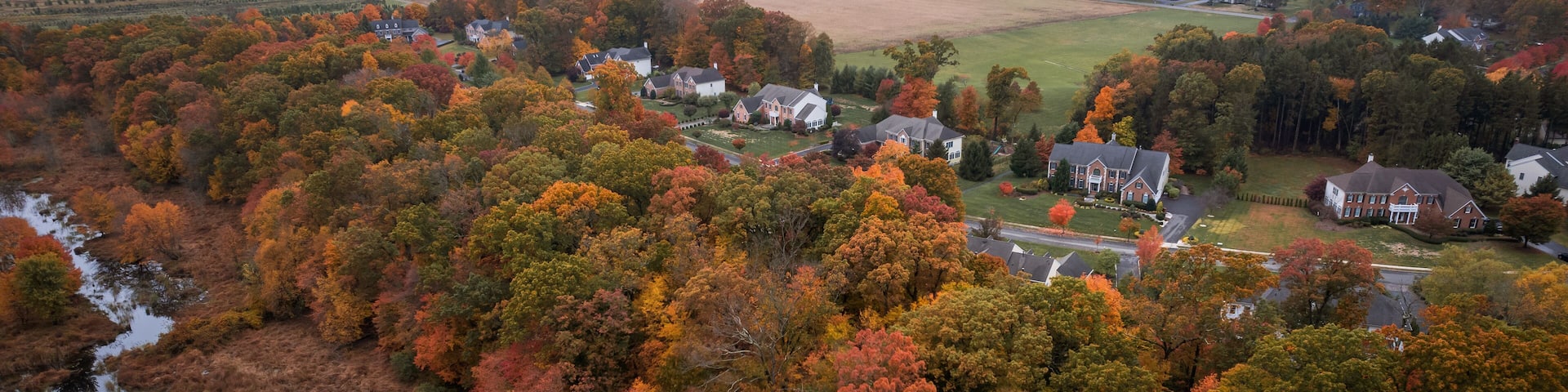 Drone Autumn Foliage in Princeton Cranbury Plainsboro New Jersey