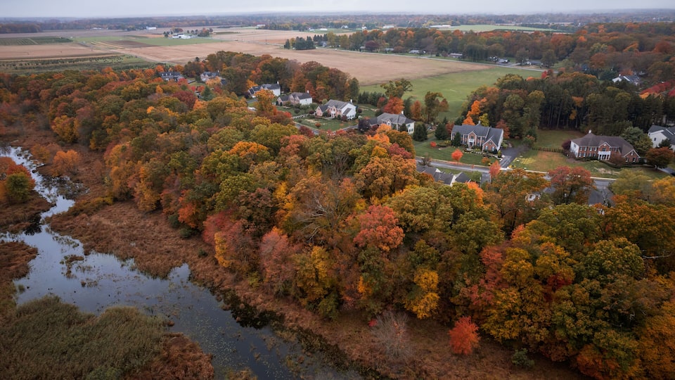 An aerial view of a rural area with autumn-colored trees, a river, and scattered houses.