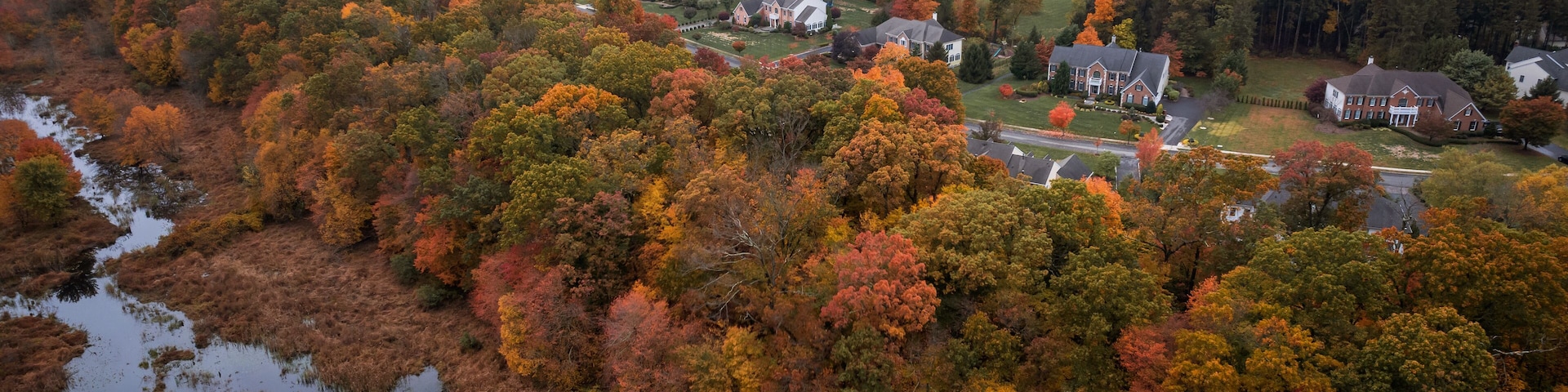 Drone Autumn Foliage in Princeton Cranbury Plainsboro New Jersey