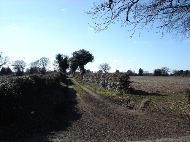 Farm track off Bucklesham Road