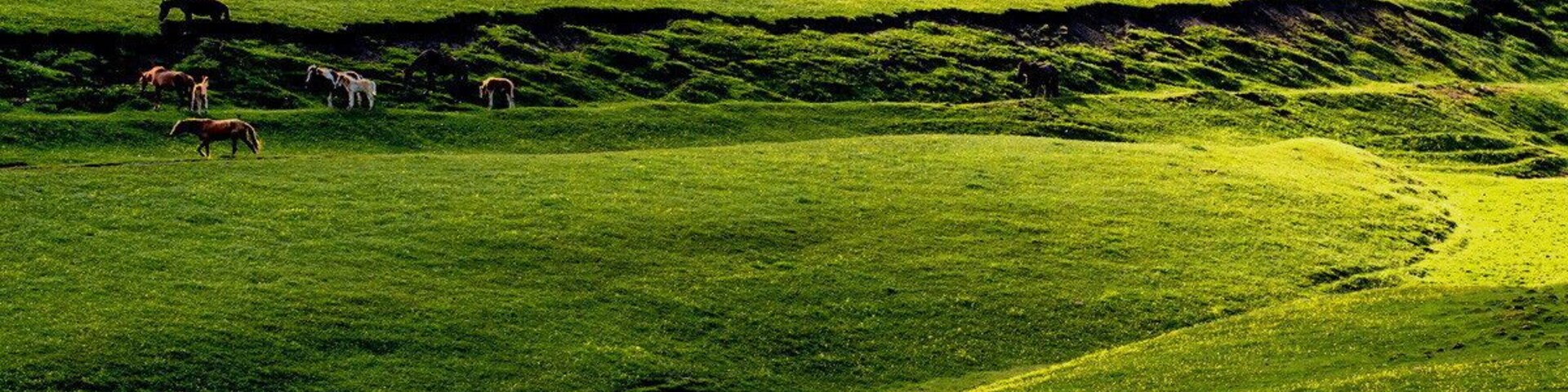 Beautiful #Kalajun Prairie.
美丽的 #喀拉峻大草原
https://twitter.com/Beautifulgx